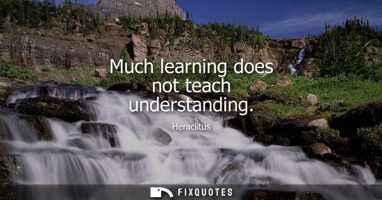 Small: Much learning does not teach understanding