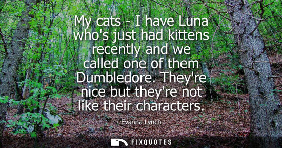 Small: My cats - I have Luna whos just had kittens recently and we called one of them Dumbledore. Theyre nice 