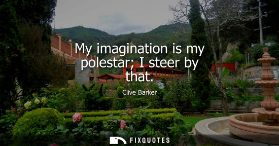 Small: My imagination is my polestar I steer by that
