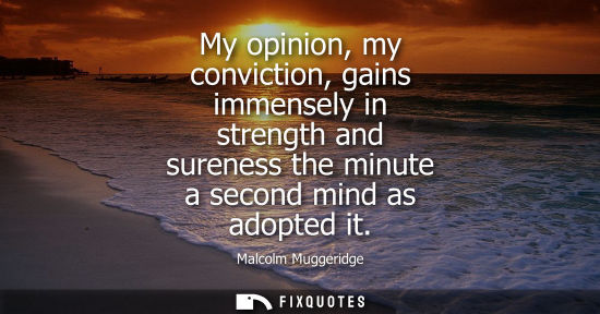 Small: My opinion, my conviction, gains immensely in strength and sureness the minute a second mind as adopted