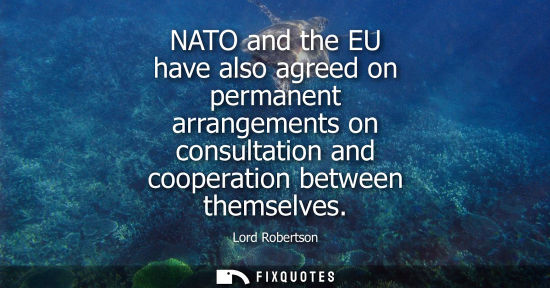 Small: NATO and the EU have also agreed on permanent arrangements on consultation and cooperation between themselves