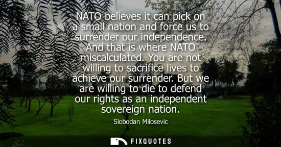 Small: NATO believes it can pick on a small nation and force us to surrender our independence. And that is where NATO