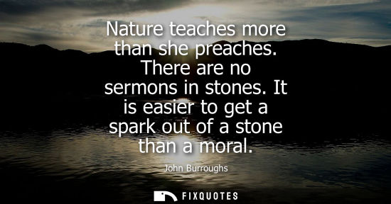 Small: Nature teaches more than she preaches. There are no sermons in stones. It is easier to get a spark out 