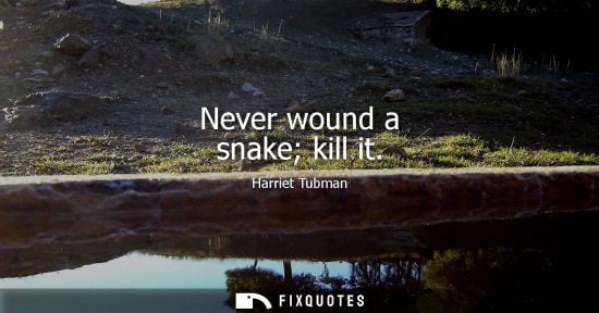Small: Never wound a snake kill it