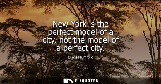 Small: New York is the perfect model of a city, not the model of a perfect city