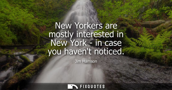 Small: New Yorkers are mostly interested in New York - in case you havent noticed