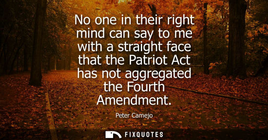 Small: No one in their right mind can say to me with a straight face that the Patriot Act has not aggregated t