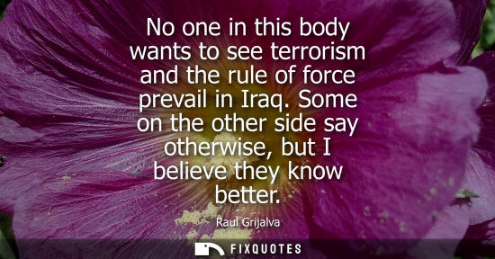 Small: No one in this body wants to see terrorism and the rule of force prevail in Iraq. Some on the other sid