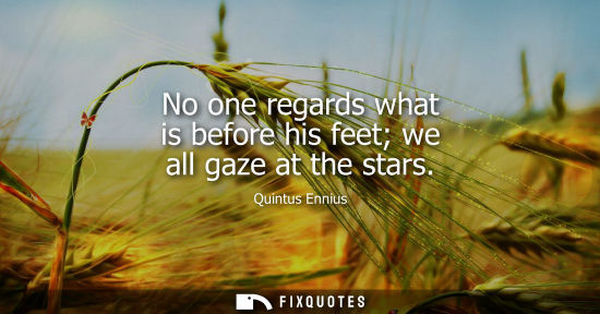 Small: No one regards what is before his feet we all gaze at the stars