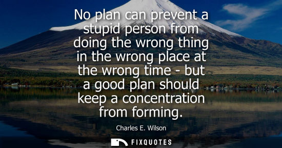 Small: No plan can prevent a stupid person from doing the wrong thing in the wrong place at the wrong time - b