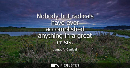 Small: Nobody but radicals have ever accomplished anything in a great crisis