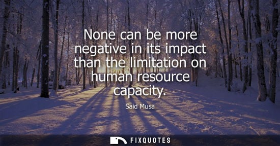 Small: None can be more negative in its impact than the limitation on human resource capacity