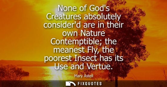 Small: None of Gods Creatures absolutely considerd are in their own Nature Contemptible the meanest Fly, the p