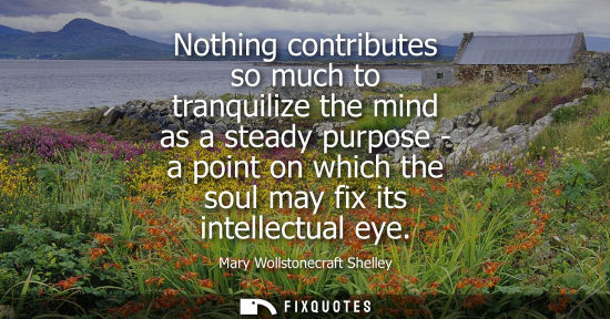 Small: Nothing contributes so much to tranquilize the mind as a steady purpose - a point on which the soul may