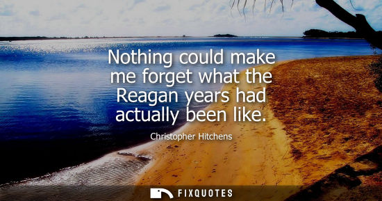 Small: Nothing could make me forget what the Reagan years had actually been like