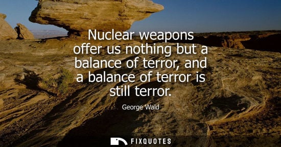 Small: Nuclear weapons offer us nothing but a balance of terror, and a balance of terror is still terror