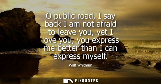 Small: O public road, I say back I am not afraid to leave you, yet I love you, you express me better than I can expre