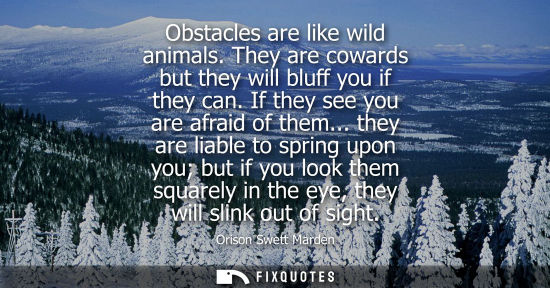 Small: Obstacles are like wild animals. They are cowards but they will bluff you if they can. If they see you are afr