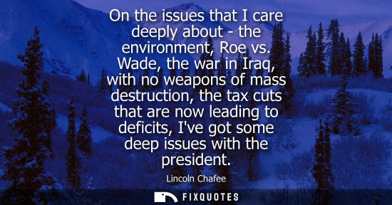 Small: On the issues that I care deeply about - the environment, Roe vs. Wade, the war in Iraq, with no weapon