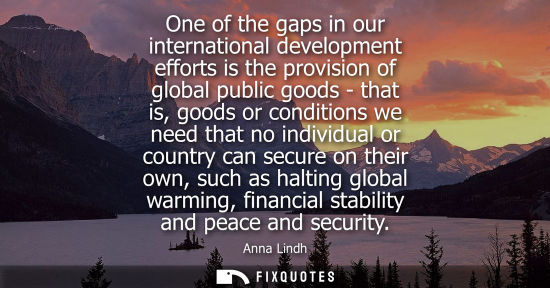 Small: One of the gaps in our international development efforts is the provision of global public goods - that