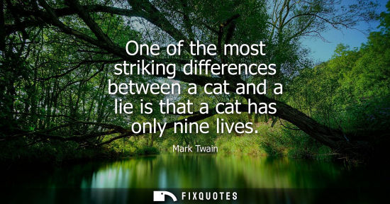 Small: One of the most striking differences between a cat and a lie is that a cat has only nine lives