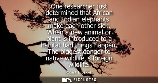 Small: One researcher just determined that African and Indian elephants make each other sick. When a new animal or pl