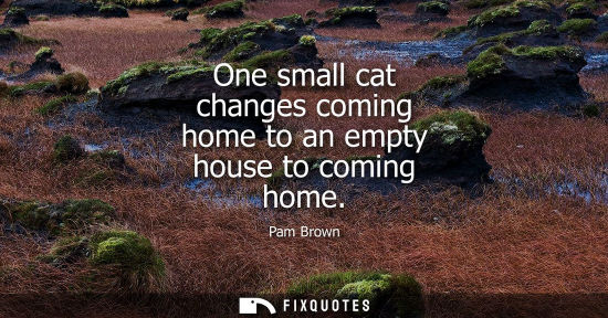 Small: One small cat changes coming home to an empty house to coming home