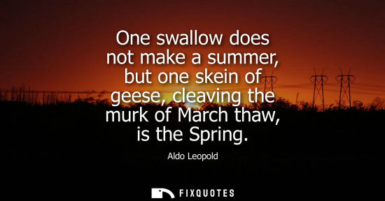 Small: One swallow does not make a summer, but one skein of geese, cleaving the murk of March thaw, is the Spring