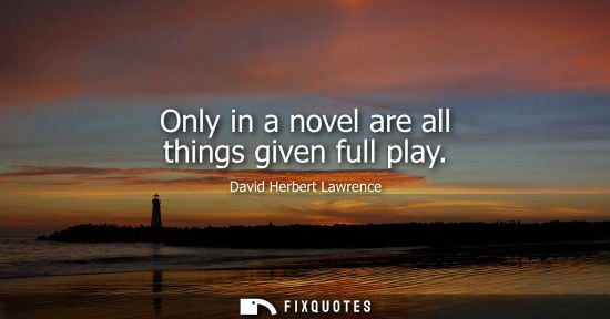 Small: Only in a novel are all things given full play