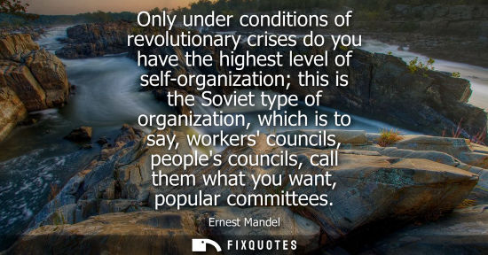 Small: Only under conditions of revolutionary crises do you have the highest level of self-organization this i