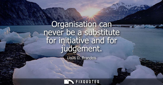 Small: Organisation can never be a substitute for initiative and for judgement