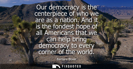Small: Our democracy is the centerpiece of who we are as a nation. And it is the fondest hope of all Americans