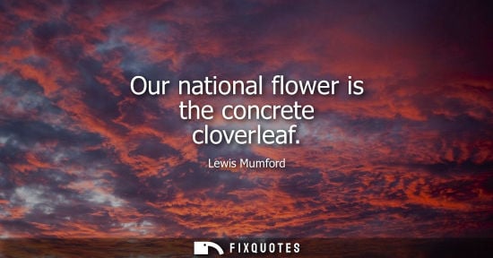 Small: Our national flower is the concrete cloverleaf