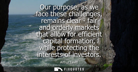 Small: Our purpose, as we face these challenges, remains clear - fair and orderly markets that allow for effic