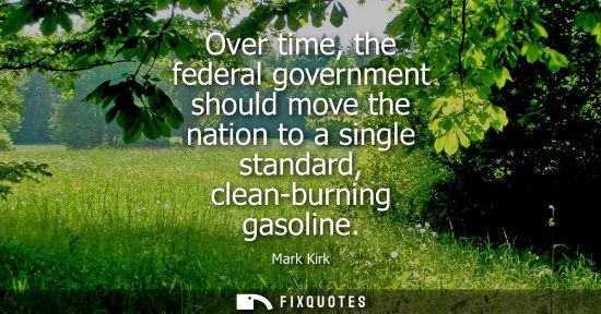 Small: Over time, the federal government should move the nation to a single standard, clean-burning gasoline