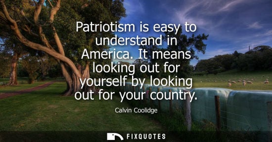 Small: Patriotism is easy to understand in America. It means looking out for yourself by looking out for your 