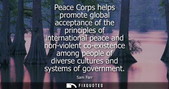 Small: Peace Corps helps promote global acceptance of the principles of international peace and non-violent co