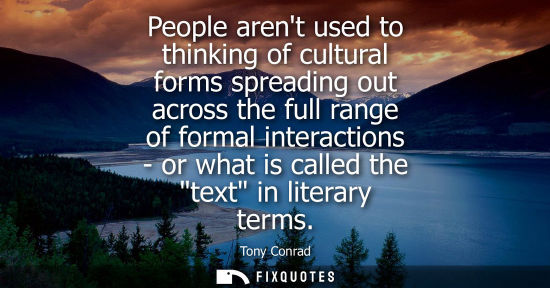 Small: People arent used to thinking of cultural forms spreading out across the full range of formal interacti