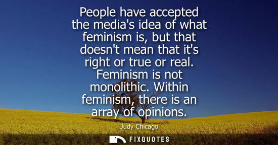 Small: People have accepted the medias idea of what feminism is, but that doesnt mean that its right or true o