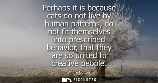 Small: Perhaps it is because cats do not live by human patterns, do not fit themselves into prescribed behavior, that