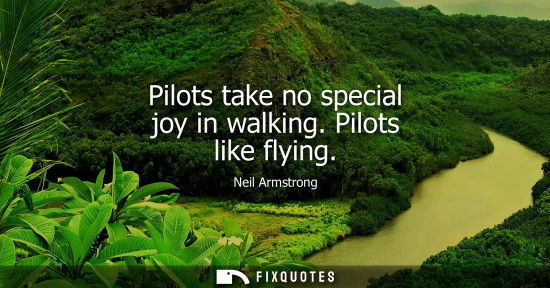 Small: Pilots take no special joy in walking. Pilots like flying