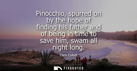 Small: Pinocchio, spurred on by the hope of finding his father and of being in time to save him, swam all nigh