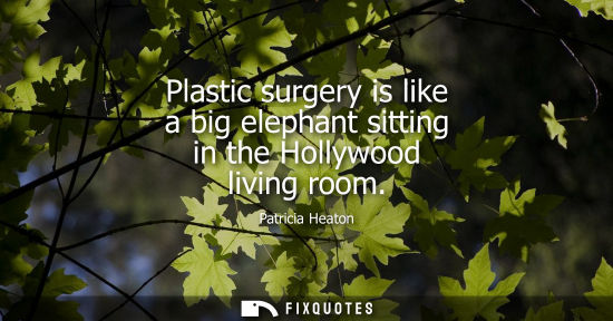 Small: Plastic surgery is like a big elephant sitting in the Hollywood living room