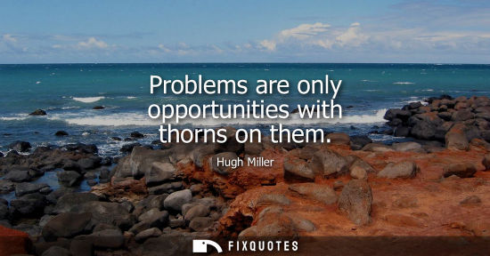 Small: Problems are only opportunities with thorns on them