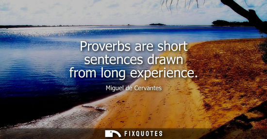 Small: Proverbs are short sentences drawn from long experience
