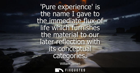 Small: Pure experience is the name I gave to the immediate flux of life which furnishes the material to our later ref