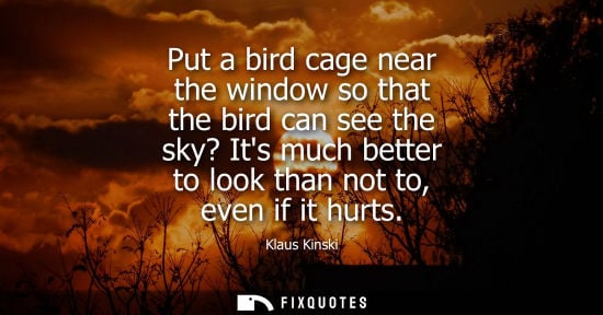 Small: Put a bird cage near the window so that the bird can see the sky? Its much better to look than not to, even if