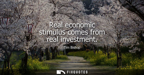Small: Real economic stimulus comes from real investment