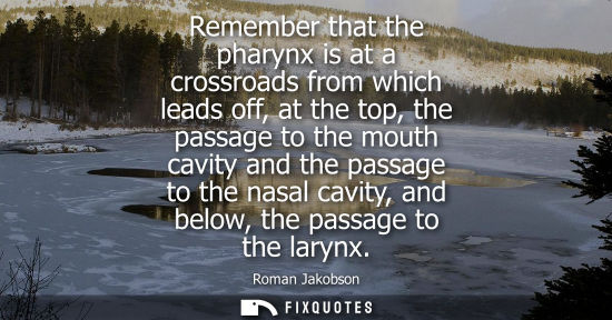 Small: Remember that the pharynx is at a crossroads from which leads off, at the top, the passage to the mouth