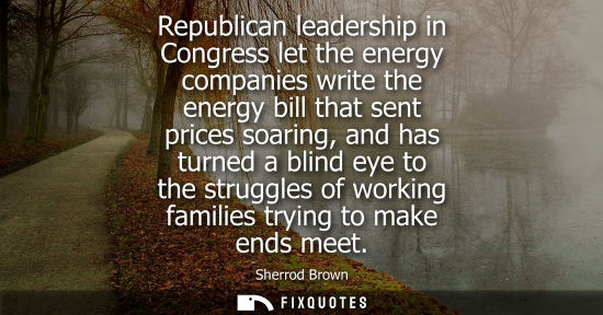 Small: Republican leadership in Congress let the energy companies write the energy bill that sent prices soari